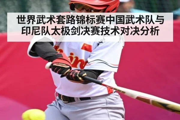 世界武术套路锦标赛中国武术队与印尼队太极剑决赛技术对决分析