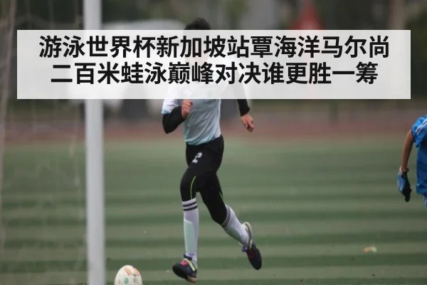 游泳世界杯新加坡站覃海洋马尔尚二百米蛙泳巅峰对决谁更胜一筹